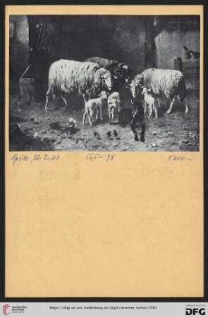 Gebler, Otto