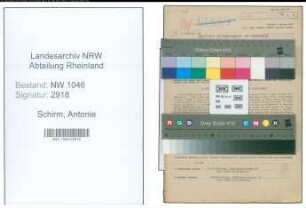 Entnazifizierung Antonie Schirm , geb. 05.08.1895 ()
