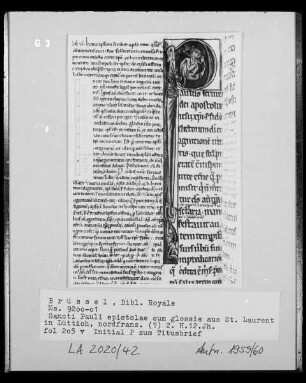 Ms 9200-01, Sancti Pauli epistolae cum glossis, fol. 205v: Initiale P zum Titusbrief