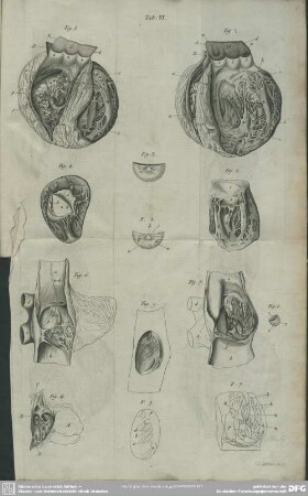 Tabula VI