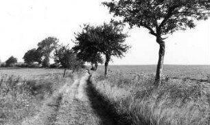 Neschwitz-Saritsch. Weg zum Windmühlenberg