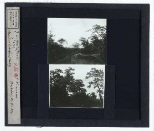 Ruisdael, Weg durch einen Wald bei Dämmerung (Den Haag MH 728),Vroom, Waldlandschaft (unidentifiziert)