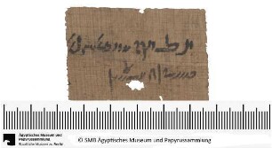 Demotischer Papyrus, Orakelfrage, den Steuererheber des Jahres 6 betreffend