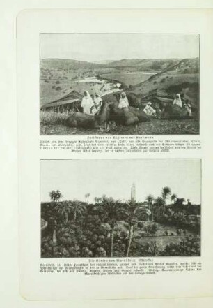 Hochsteppe von Algerien mit Karawane