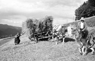 Kappel: Heu aufladen, mit Wagen; Schwarzwald