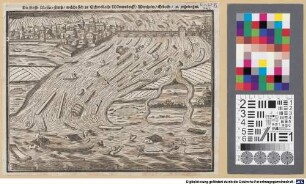 Die grosse Wasser-Fluth, welche sich zu Schwobach, Wilmersdorff, Wertheim, Erbach, [et]c. zugetragen