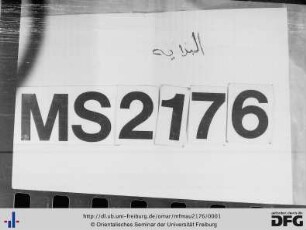 MF Mau 2176