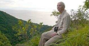 Jane's Journey - Die Lebensreise der Jane Goodall