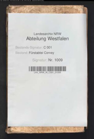 Protokolle des geistlichen Gerichts in Brenkhausen