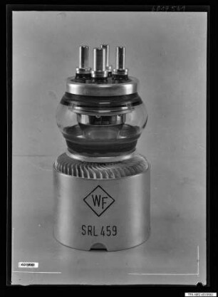 Senderöhre SRL 459 "WF", Foto 1960