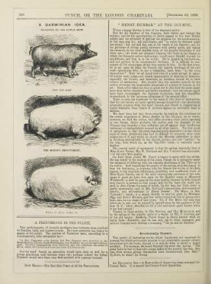 A Darwinian Idea. Suggested by the Cattle Show