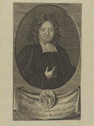 Bildnis des Johann Avenarius