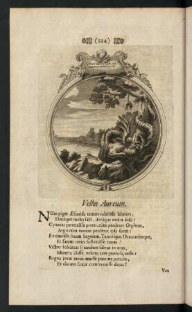 224-233, Vellus Aureum