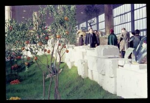 Grüne Woche 5.2.67.