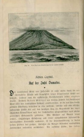 Achtes Capitel. Auf der Insel Sumatra