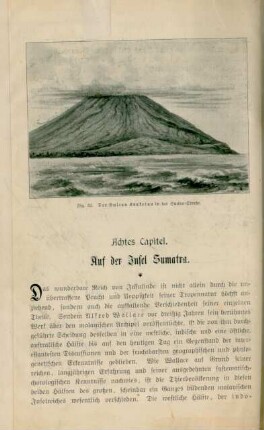 Achtes Capitel. Auf der Insel Sumatra