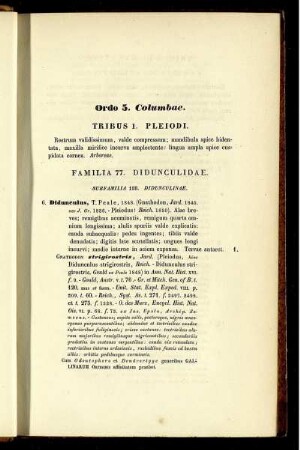 Ordo 5. Columbae.