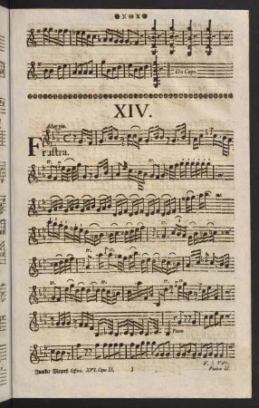33-42, XIV. - XVI.