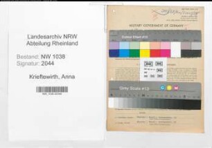 Entnazifizierung Anna Krieftewirth , geb. 18.07.1895 (Kauffrau)