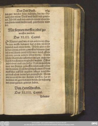 Mit steynen werffen/ oder geworffen werden. Das XLIII. Capitel.