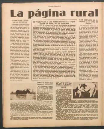 Una vaca argentina gana el campeonato mundial de producción de leche