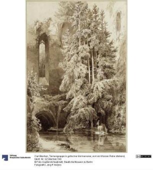 Tannengruppe in gotischer Kirchenruine, vorn im Wasser Rehe stehend