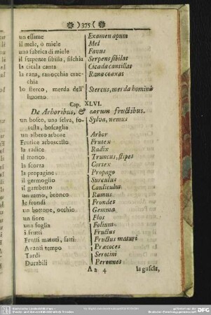 Cap. XLVI. De Arboribus, & earum fructibus