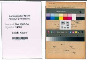 Entnazifizierung Kaethe Lesch, geb. 27.08.1896 (Kauffrau)