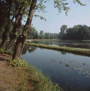 Münsterländer Parklandschaft bei Gemen