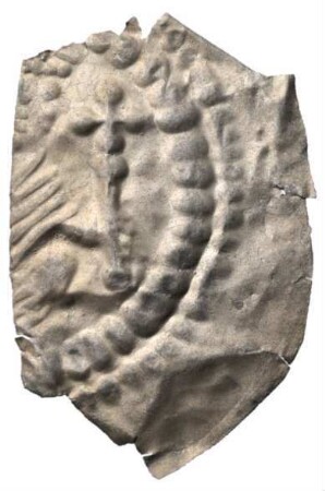 Fundmünze, Brakteat, um 1260 - 1270