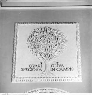 Stuckrelief mit Ölbaum