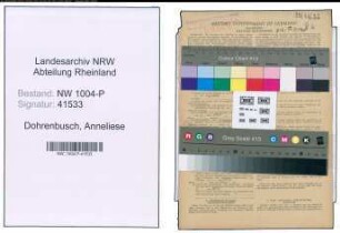Entnazifizierung Anneliese Dohrenbusch , geb. 29.06.1914 (Kaufm.Angestellte)