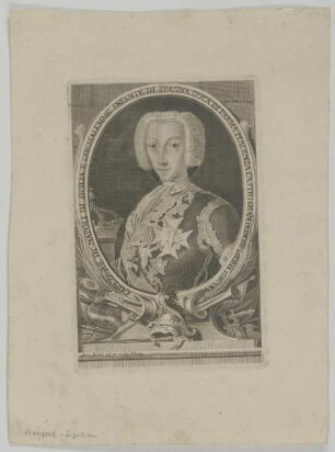 Bildnis des Carlo di Napoli di Sicilia