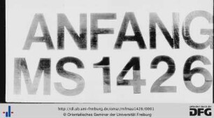 an-Naṣīḥa al-ḥīnīya fī t-taḥḏīr min al-mutaṣauwifa al-ḥīnīya