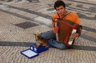 Lissabon - Junge bettelt mit Hund : Lissabon Zentrum, Stadtviertel Beixa, Fußgängerzone Rua Augusta, kleiner Bettler-Musikant mit Hund, aufgenommen 2006