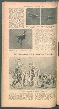 Los fantasmos del invierno en Finlandia