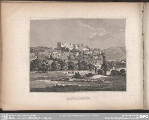 ELSTERBERG