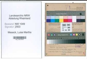 Entnazifizierung Luise Martha Meseck , geb. 03.08.1913 (Krankenschwester)