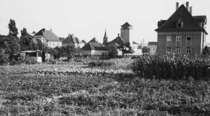 Coswig. Blick über Gemüsefeld zur Moritzburger Straße gegen Schlauchturm der Feuerwehr (um 1930)