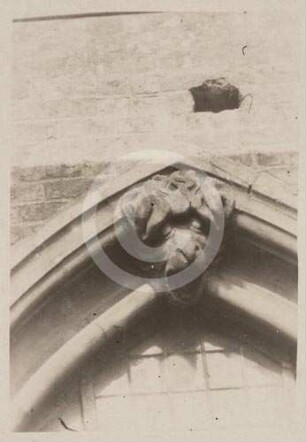 Schlussstein eines Fenstergewändes am Langhaus des Doms Breslau