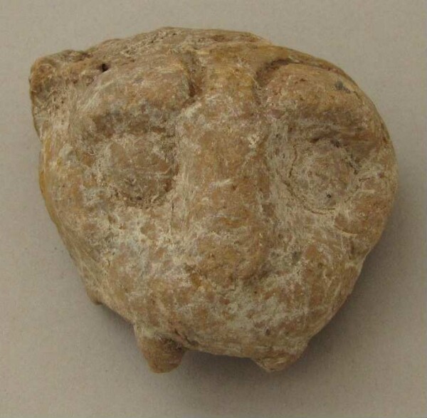 Animal head (fragment of a clay mask)