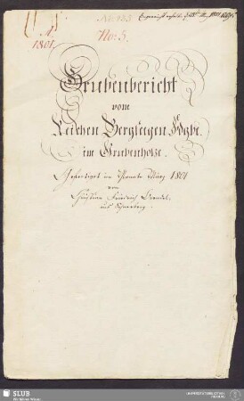 Grubenbericht vom Reichen Bergseegen Fdgbe. im Grubenholze - 17.6339 4.