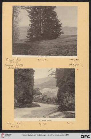Trübner, Wilhelm