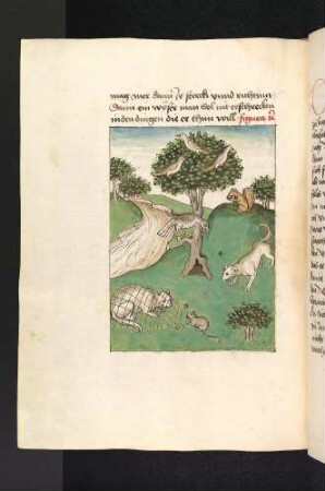 Die Katze Peridon im Netz, die Maus Rom, der Vogelbaum, Hund und Eichhörnchen(Kapitel VIII: Von der Katze und der Maus)
