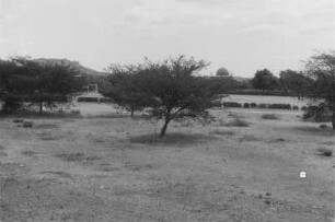 Weg zu einem Sportplatz : Hinter Bäumen befindet sich der Sportplatz von Dodoma.
