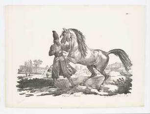 Cheval Persan, Blatt 4 der Folge "Große Folge von Pferden"