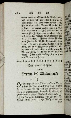 Das vierte Capitel von den Nerven des Rückenmarks.