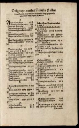 Volget eyn nützlich Register zu allen kranckheyten/ von welchen im andern theyl gehandelt würt/ rath und artznei zu finden.