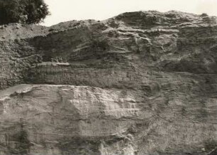 Bad Lausick. Kiesgrube am Hudelberg. Kiese und Sande (Oligozän) mit Kreuzschichtung, Stauchungen und Diskordanzen