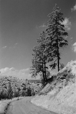 Landschaft im Harz